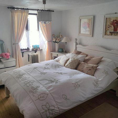 Maison Josselin Proche Chateau מראה חיצוני תמונה